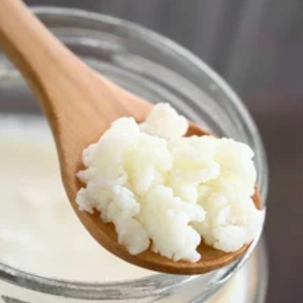 Awesome kefir grains!! See video!